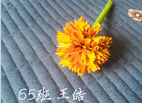 衡陽(yáng)市蒸湘區(qū)仁愛實(shí)驗(yàn)中學(xué)|衡陽(yáng)全日制|全寄宿|全封閉|半月假制初級(jí)中學(xué)